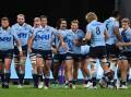 The Waratahs will hope to cause an upset when they face the Hurricanes in New Zealand. (Dean Lewins/AAP PHOTOS)